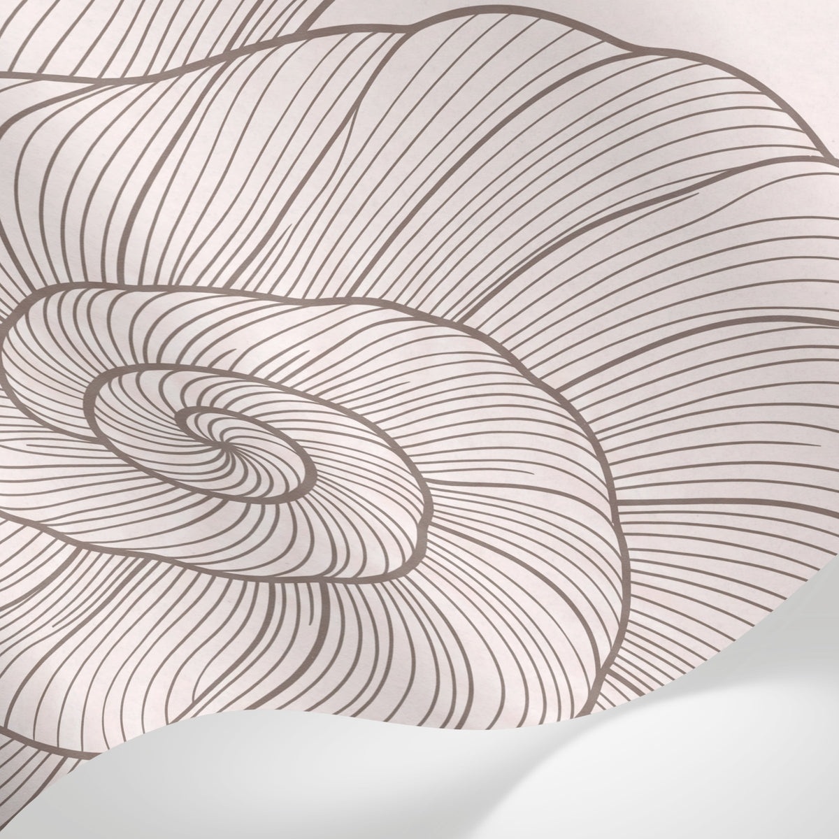 Papier peint panoramique abstrait - Spirales coquillages nautilus entrelacés tons beige rosé et brun sur mesure - Matière