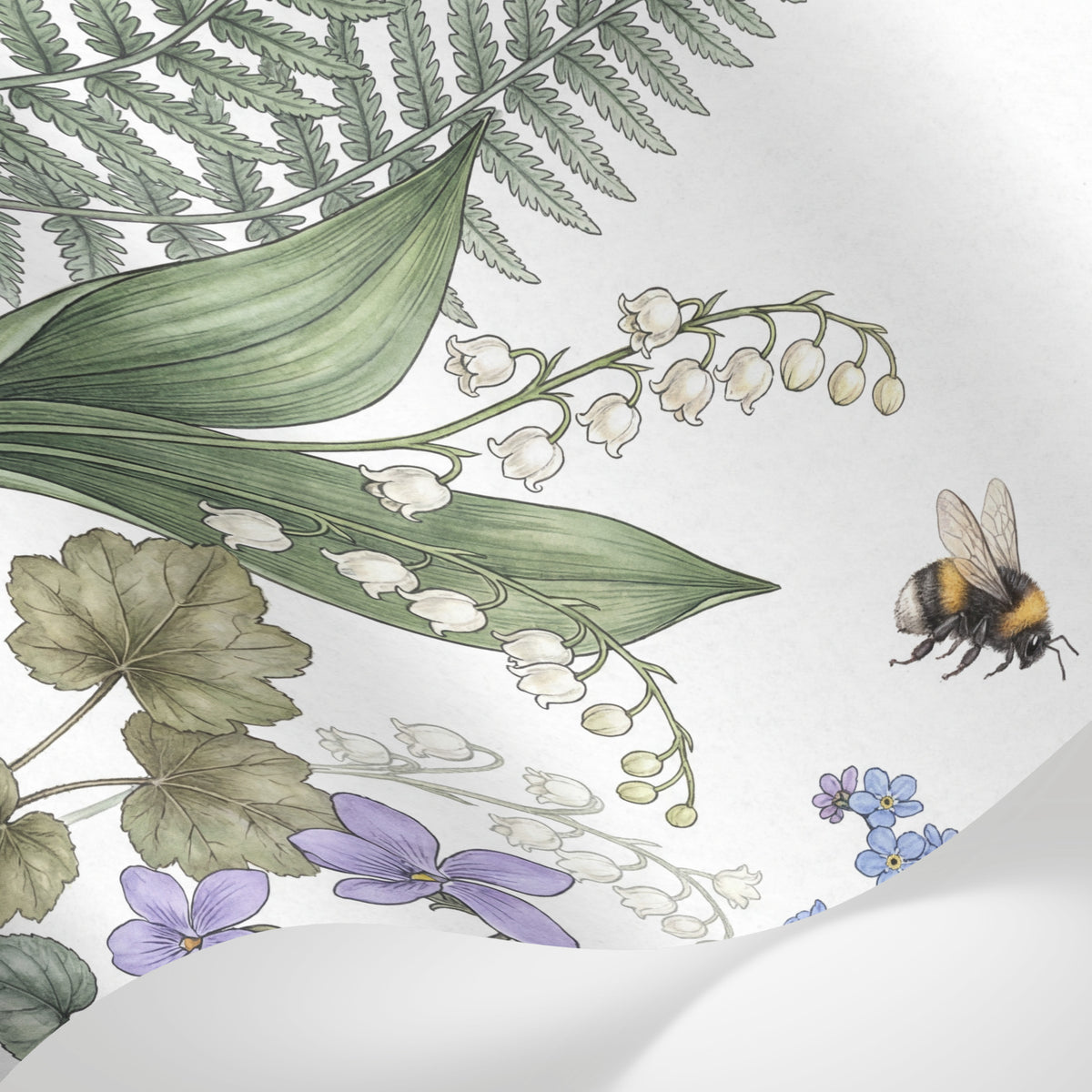 Papier peint panoramique aquarelle fleur - Fougères violettes narcisses abeilles botanical fond blanc crème et vert sur mesure - Matière