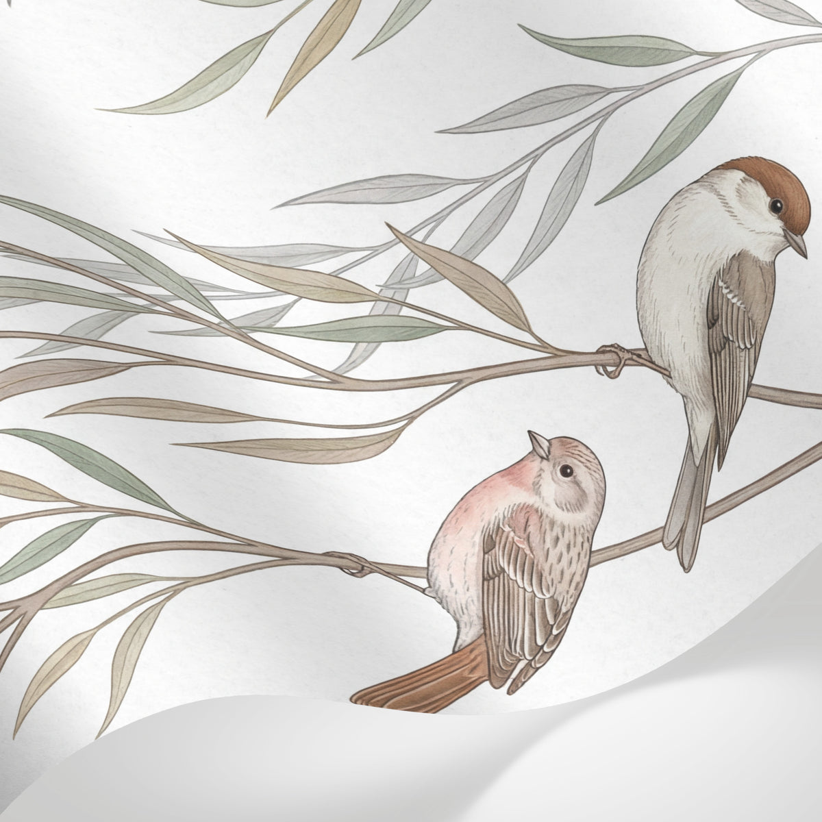 Papier peint panoramique aquarelle nature - Oiseaux saules pleureurs vert sauge et beige sur mesure - Matière