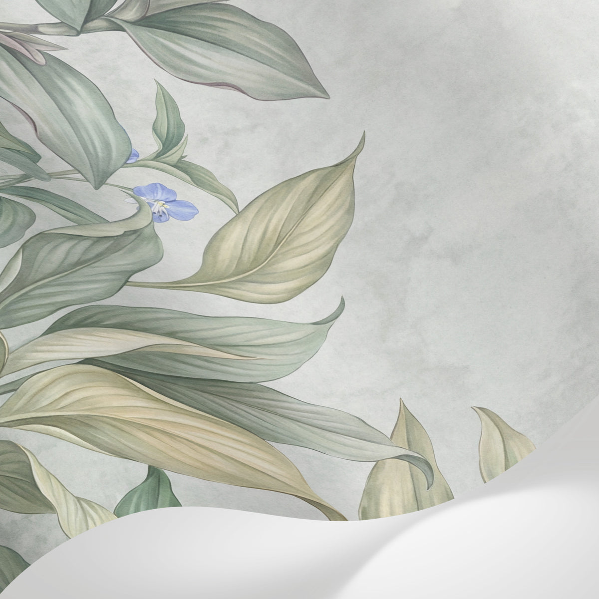 Papier peint panoramique botanique - Feuilles hosta violettes sauvages fond beige crème nuancé sur mesure - Matière