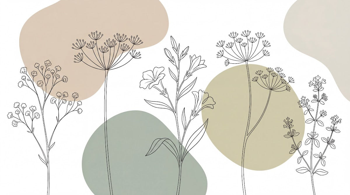 Papier peint panoramique botanique - Fleurs ombellifères tiges stylisées dessin au trait fond beige et blanc sur mesure - Design