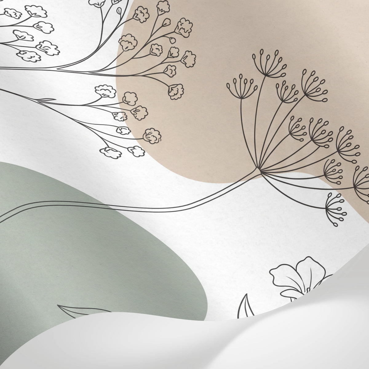 Papier peint panoramique botanique - Fleurs ombellifères tiges stylisées dessin au trait fond beige et blanc sur mesure - Matière
