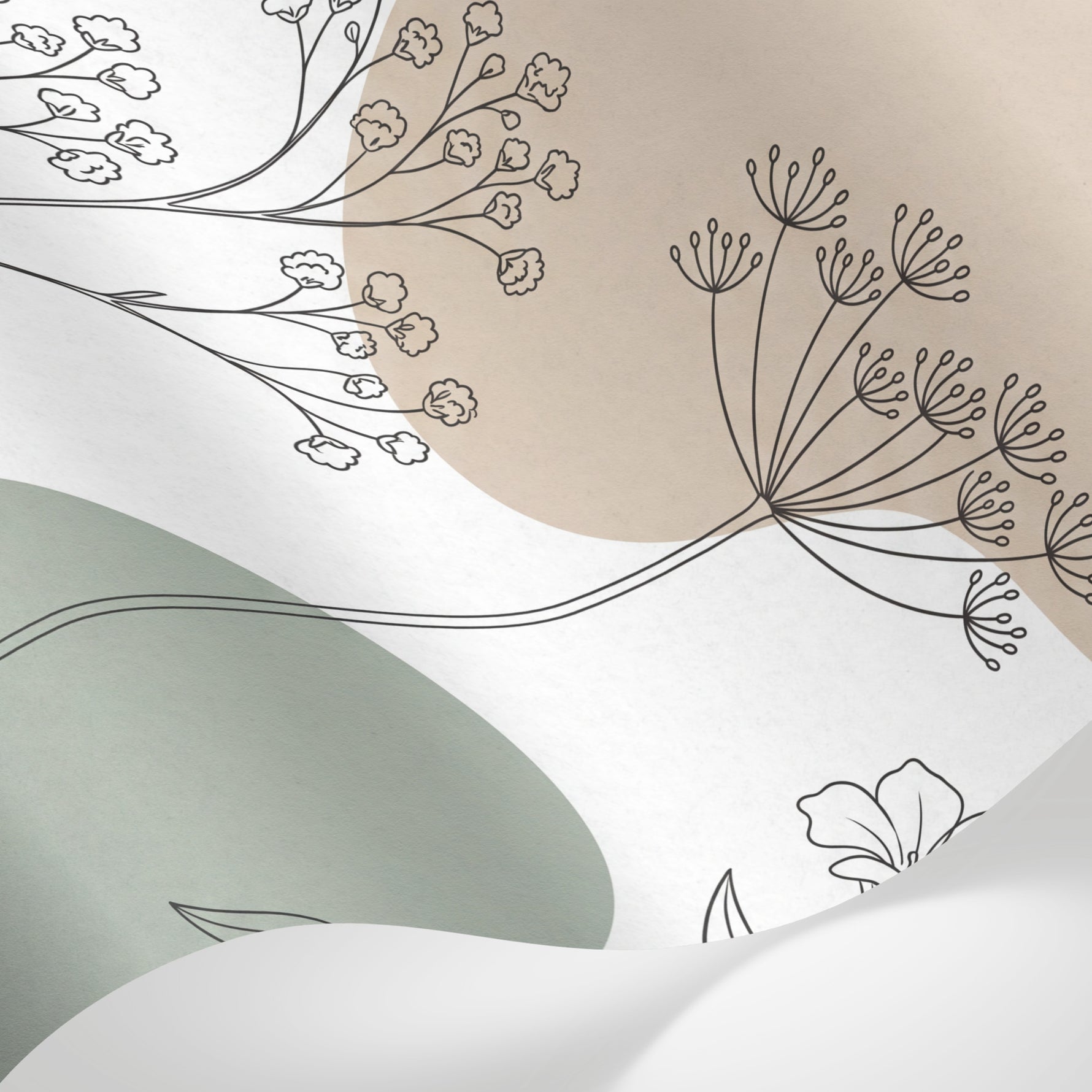 Papier peint panoramique botanique - Fleurs ombellifères tiges stylisées dessin au trait fond beige et blanc sur mesure - Matière