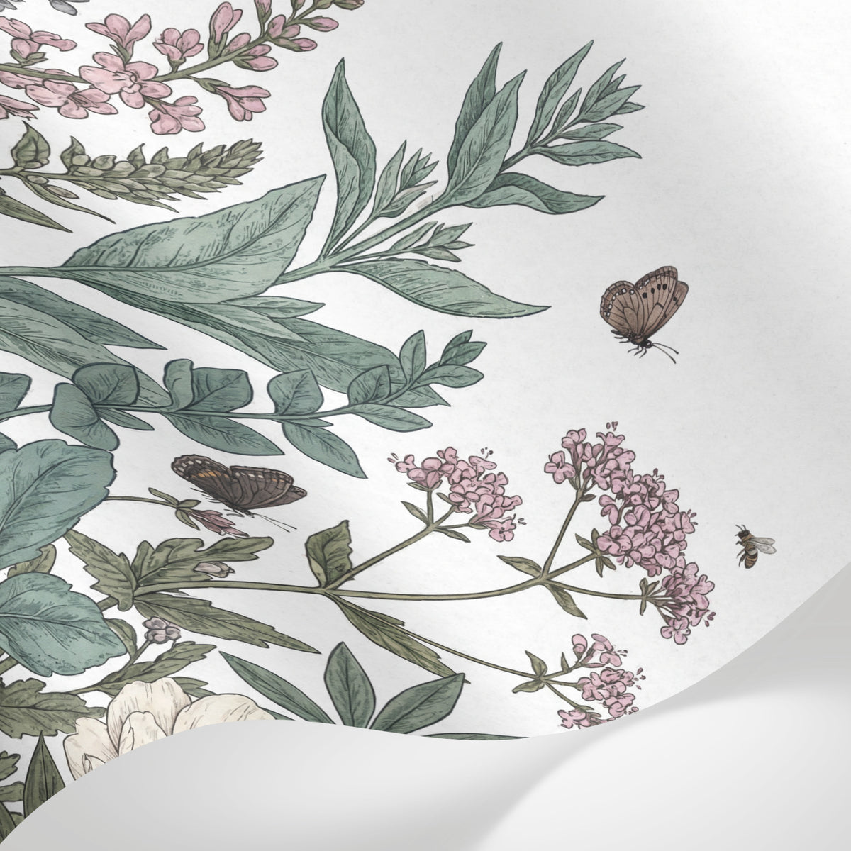 Papier peint panoramique botanique - Fleurs sauvages ombellifères papillons abeilles fond blanc naturel sur mesure - Matière