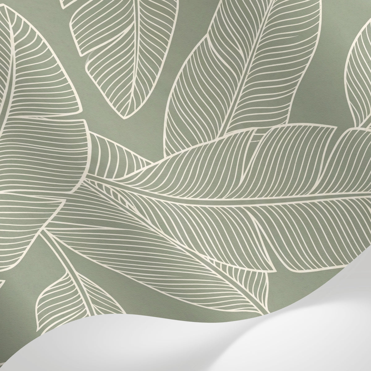 Papier peint panoramique feuille bananier - Feuillage tropical ligné contours blancs fond vert sauge sur mesure - Matière