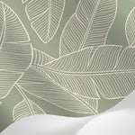 Papier peint panoramique feuille bananier - Feuillage tropical ligné contours blancs fond vert sauge sur mesure - Matière