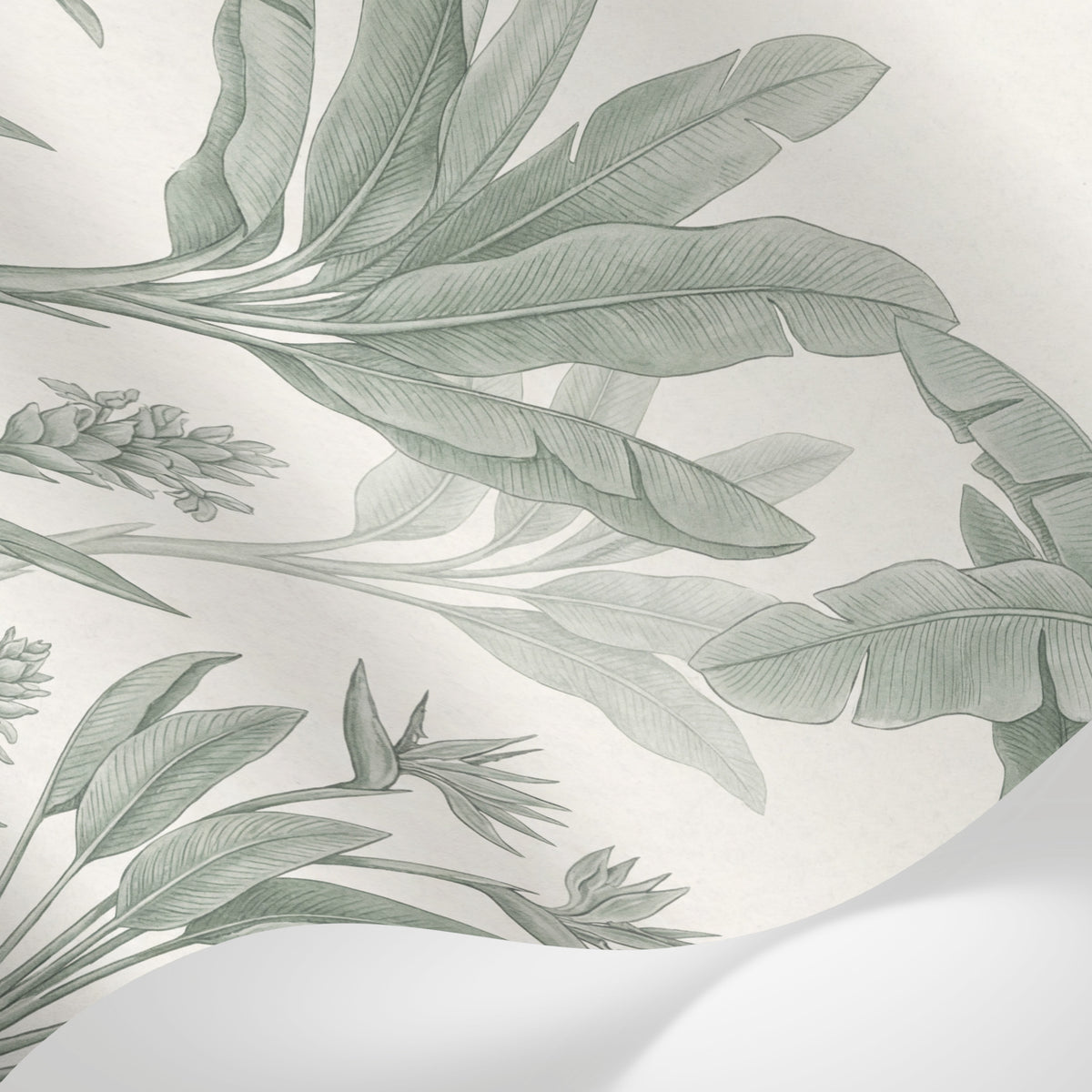 Papier peint panoramique feuille bananier - Fronds tropicales dessinées tons vert sauge sur fond beige crème sur mesure - Matière