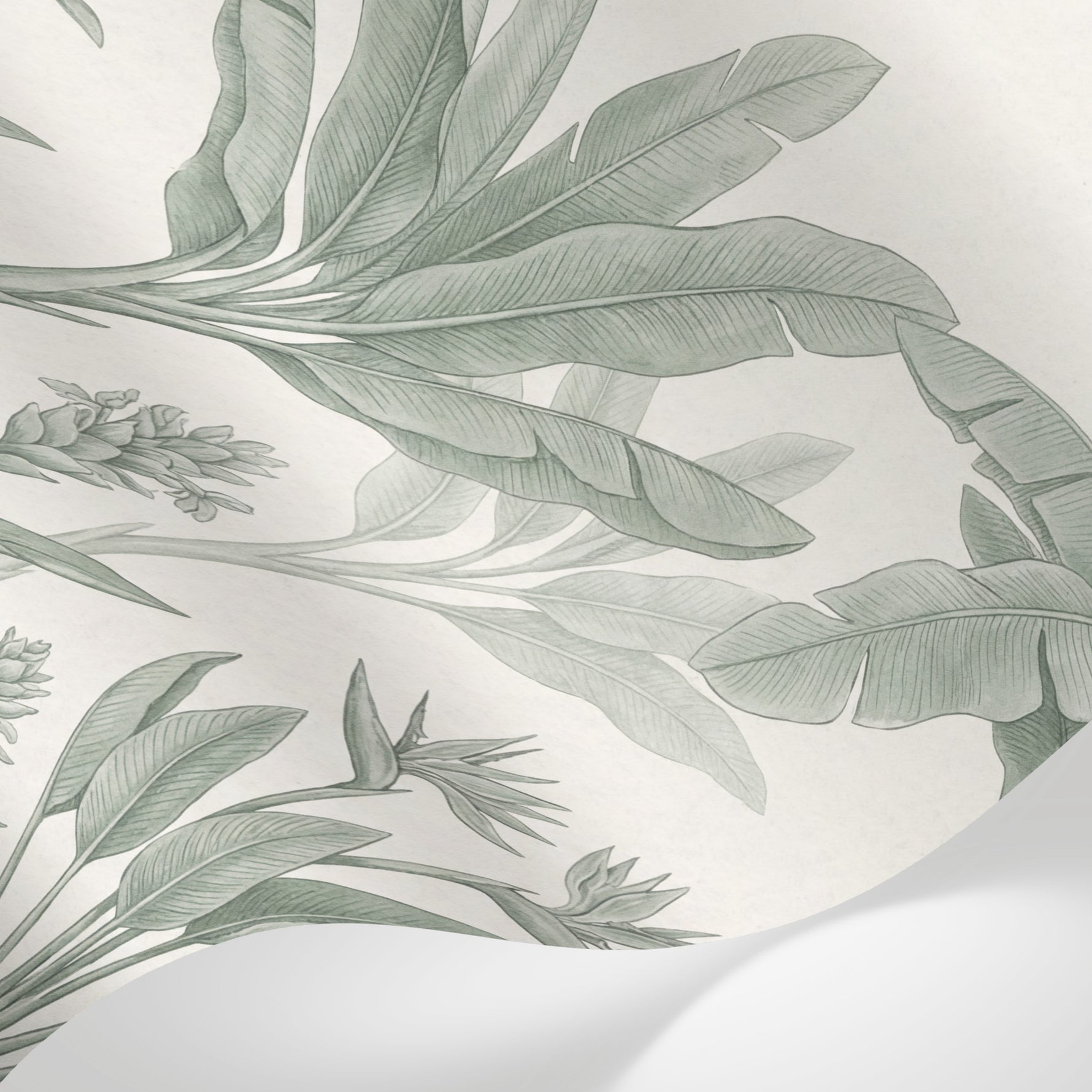 Papier peint panoramique feuille bananier - Fronds tropicales dessinées tons vert sauge sur fond beige crème sur mesure - Matière
