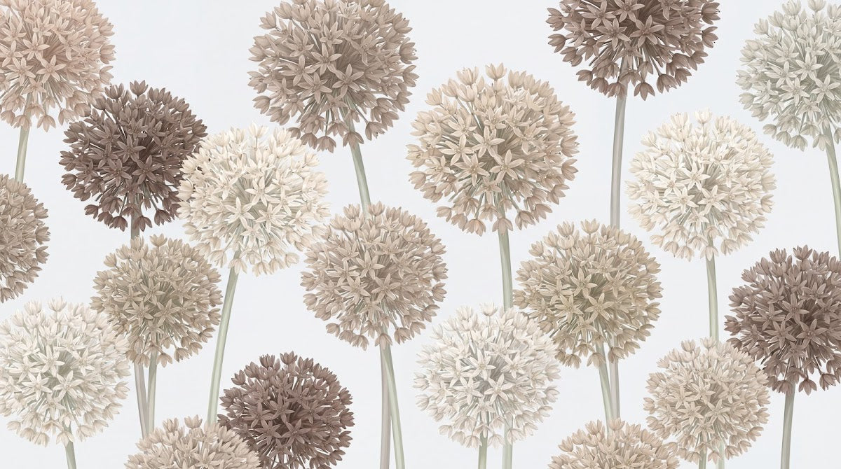 Papier peint panoramique floral - Alliums boules florales tiges longues tons beige rosé et brun taupe sur mesure - Design