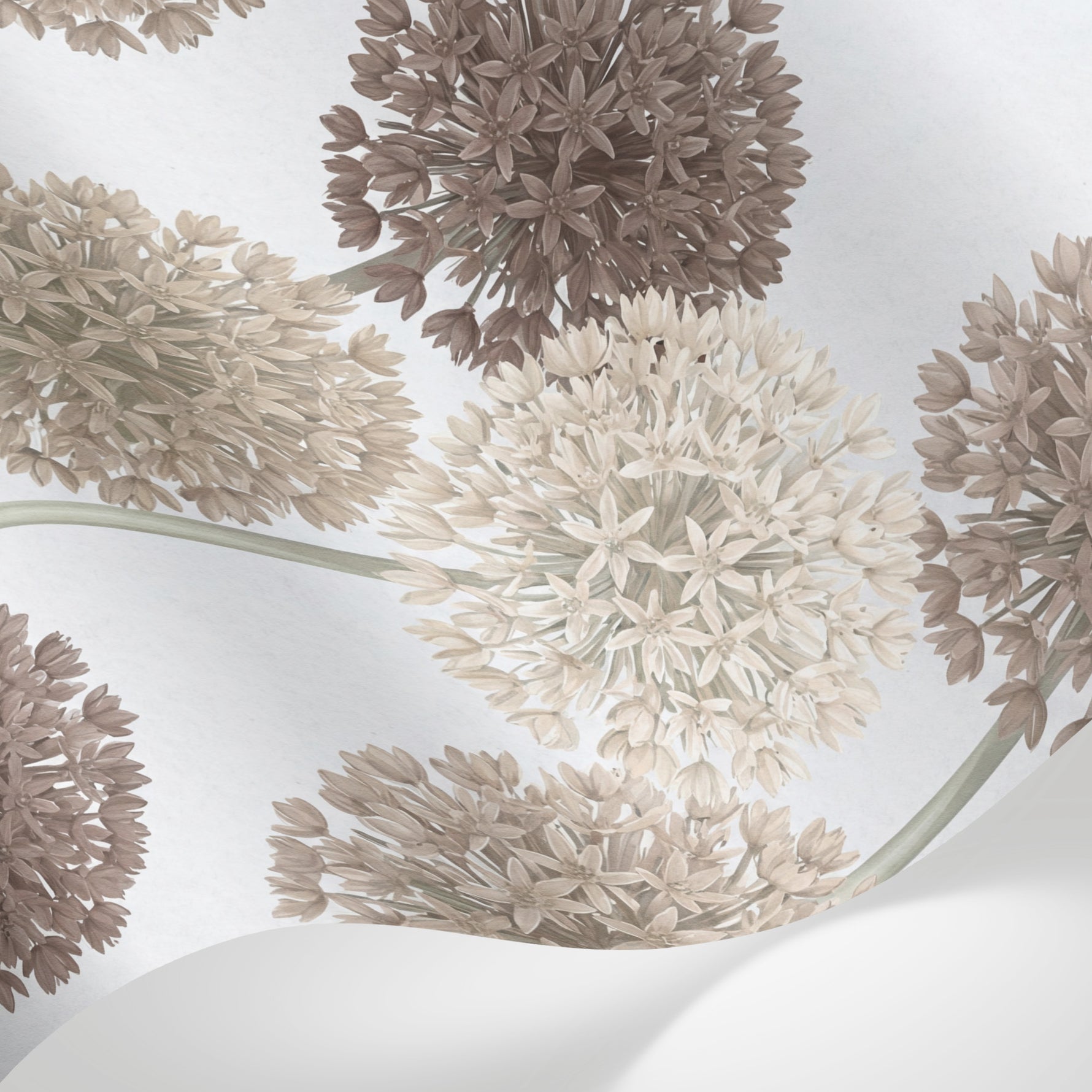 Papier peint panoramique floral - Alliums boules florales tiges longues tons beige rosé et brun taupe sur mesure - Matière