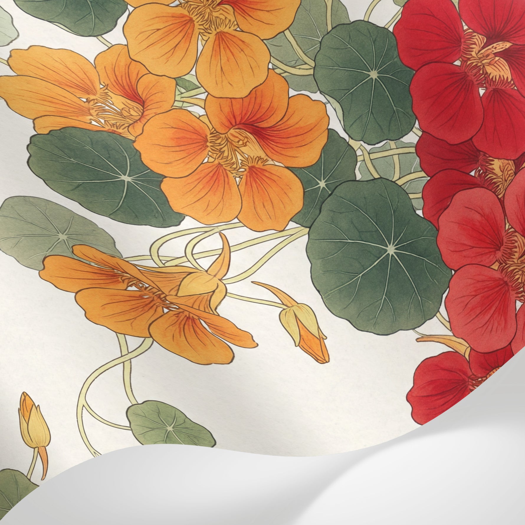 Papier peint panoramique floral - Capucines rouges oranges feuillage rond fond beige crème sur mesure - Matière
