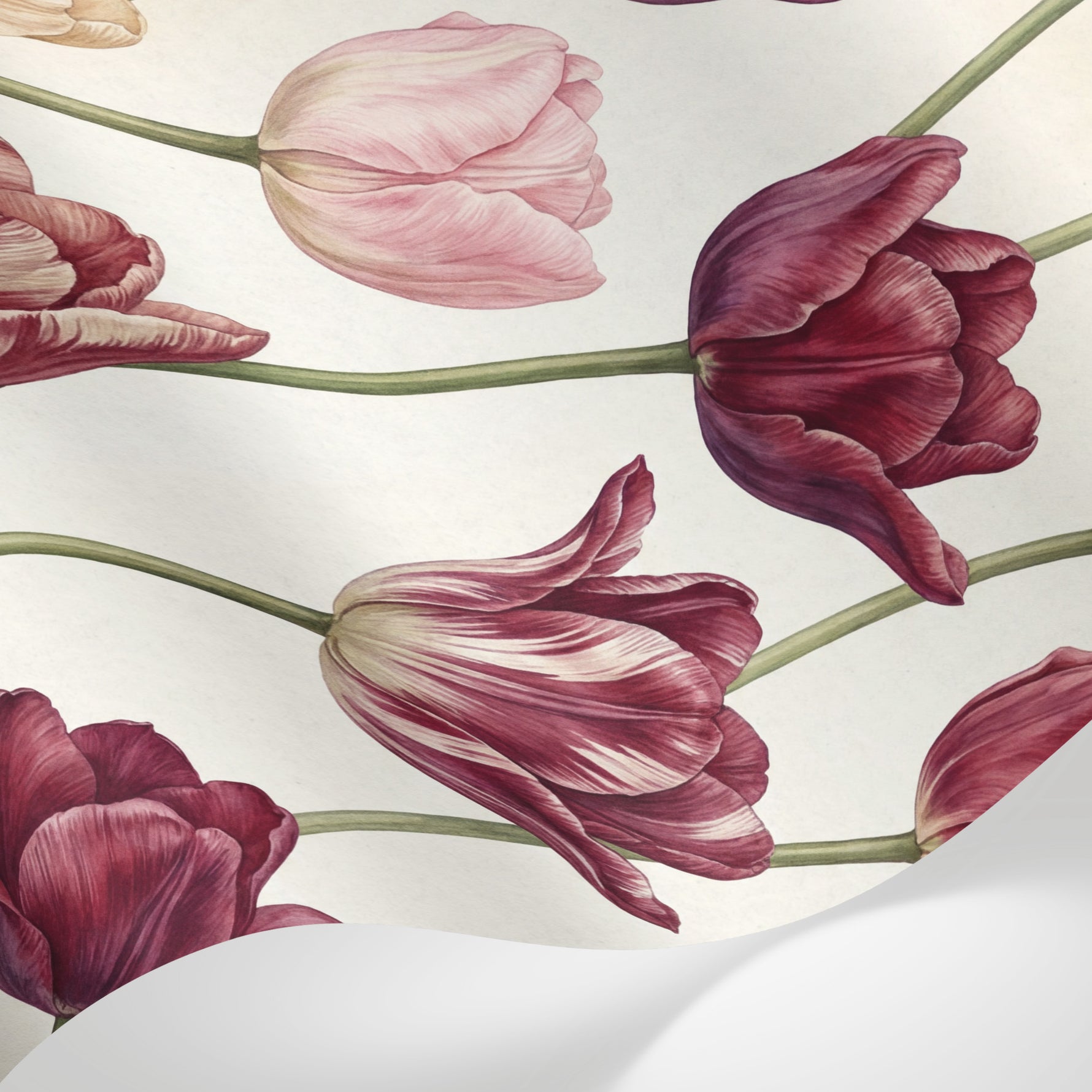 Papier peint panoramique floral vintage - Tulipes bordeaux rose poudré et crème sur fond beige rosé sur mesure - Matière