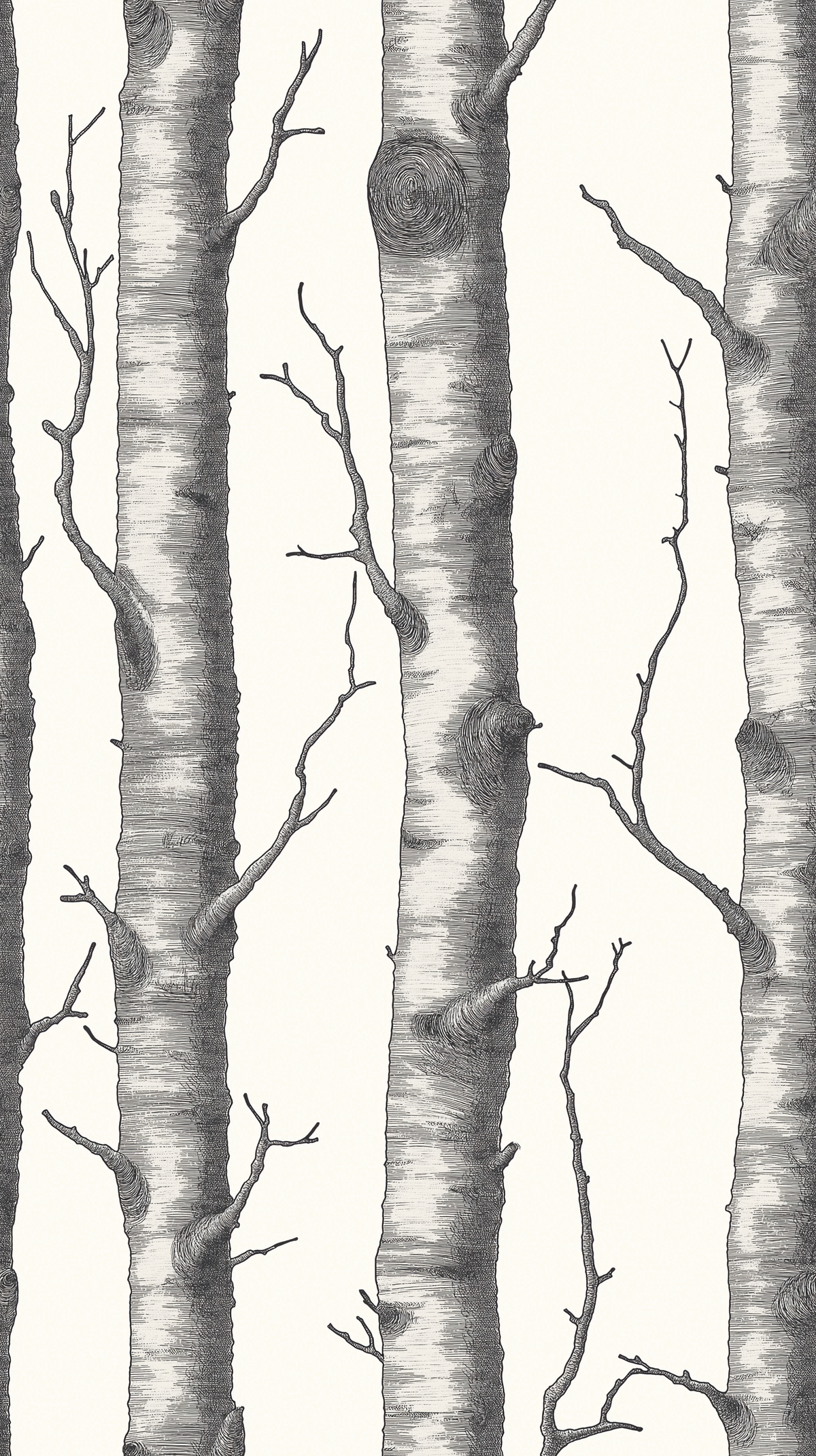 Papier peint motif forêt - Troncs de bouleaux et branches noir et blanc - Design