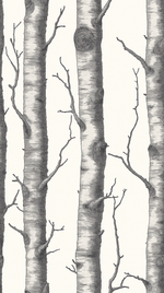 Papier peint motif forêt - Troncs de bouleaux et branches noir et blanc - Design