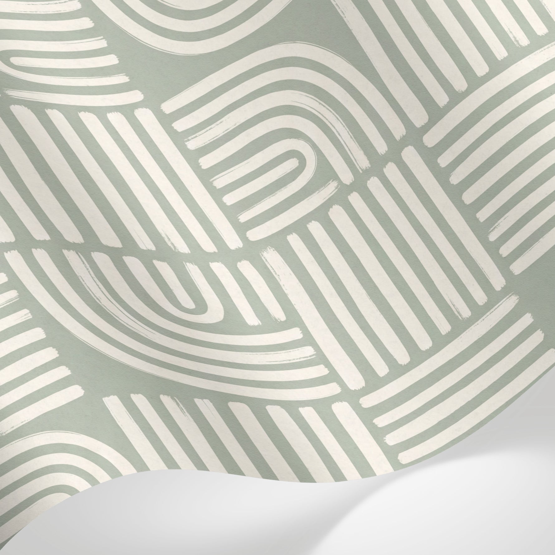 Papier peint panoramique abstrait - Lignes courbes arcs concentriques rayures entrecroisées fond vert sauge et blanc sur mesure - Matière