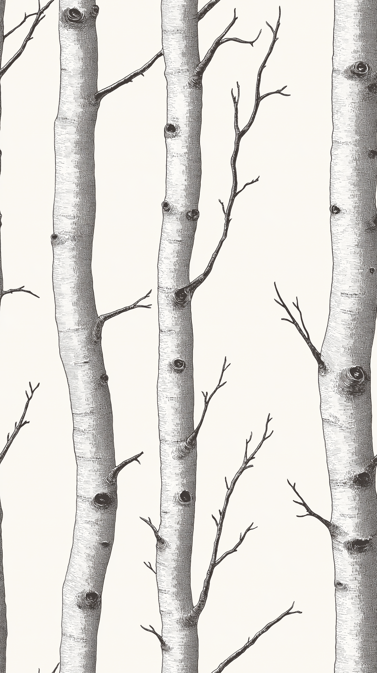Papier peint motif nature - Troncs de bouleaux et branchages blanc écru et noir - Design