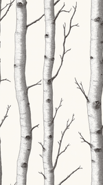 Papier peint motif nature - Troncs de bouleaux et branchages blanc écru et noir - Design