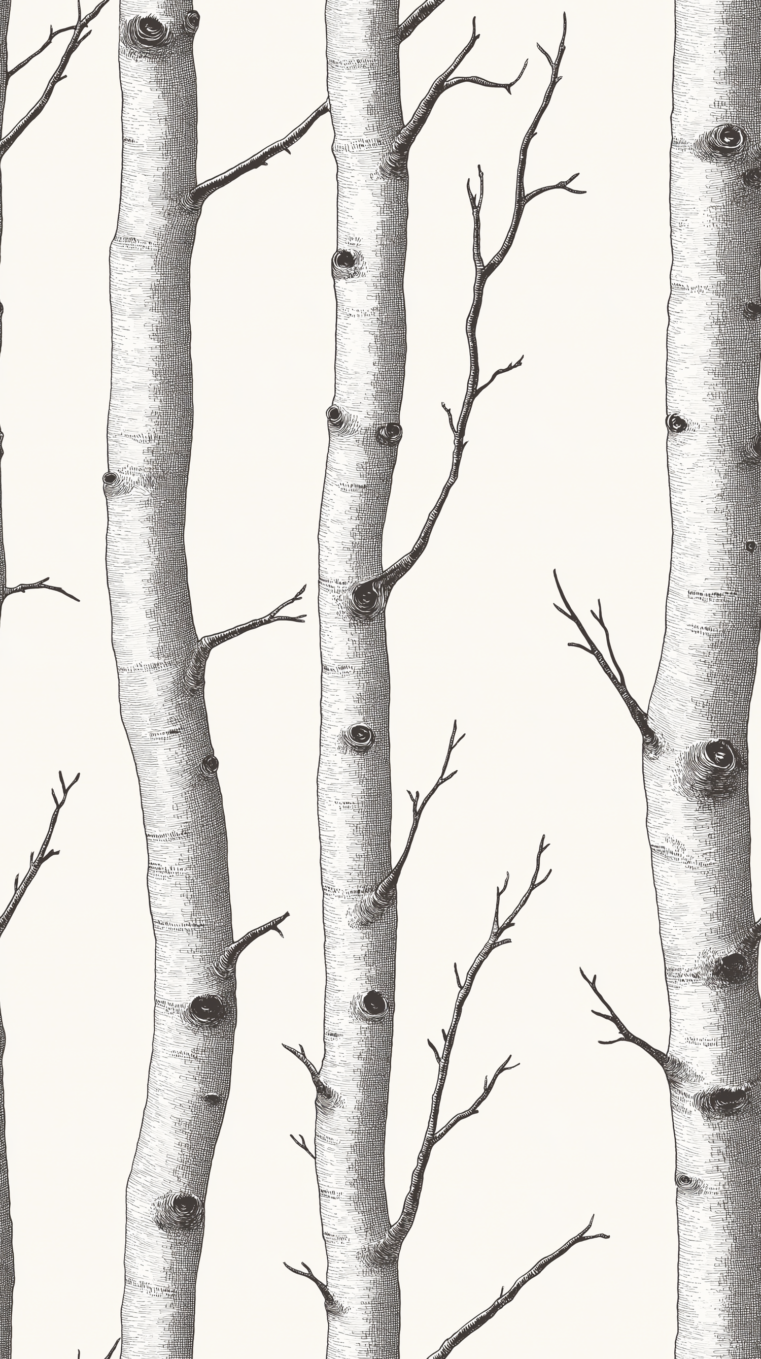 Papier peint motif nature - Troncs de bouleaux et branchages blanc écru et noir - Design