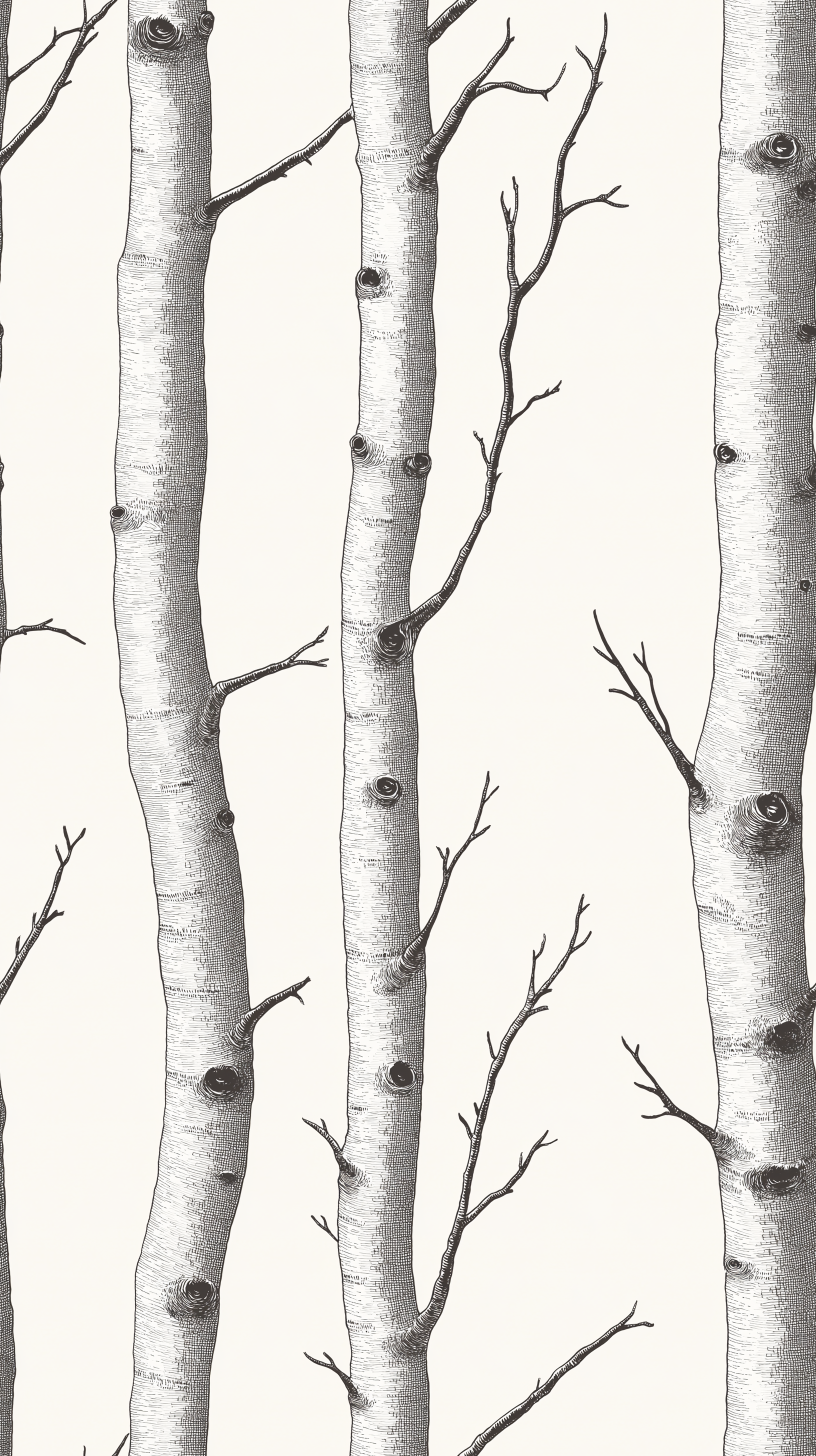 Papier peint motif nature - Troncs de bouleaux et branchages blanc écru et noir - Design