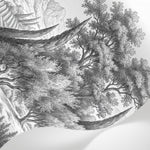 Papier peint panoramique arbres méditerranéens - Pins parasol cyprès oliviers paysage méditerranéen gravure détaillée sur mesure - Matière