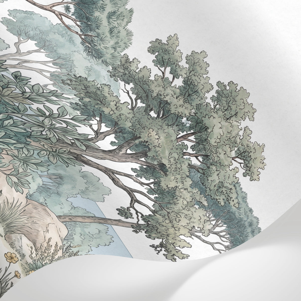 Papier peint panoramique arbre - Pins parasol rochers côtiers méditerranéens tons vert sauge et beige sur mesure - Matière