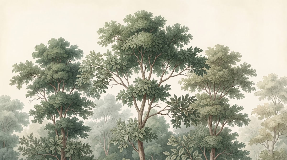 Papier peint panoramique arbres - Forêt anglaise branchages détaillés feuillage dense tons vert sauge et beige sur mesure - Design