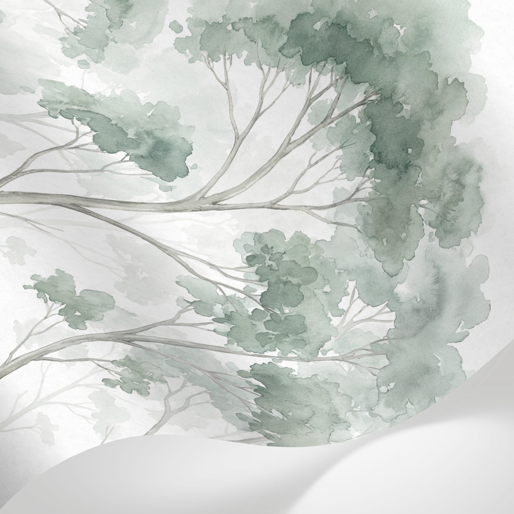 Papier peint panoramique arbres - Forêt eucalyptus aquarelle brouillard tons vert sauge et gris blanc sur mesure - Matière