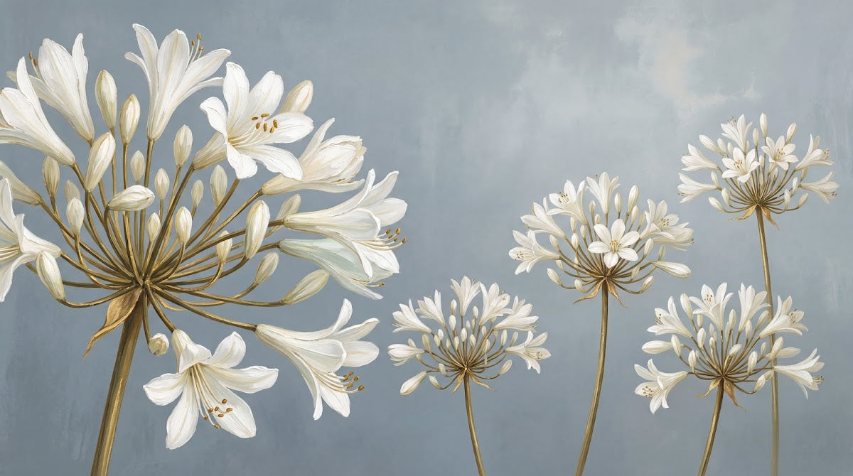Papier peint panoramique floral - Agapanthes blanches ombrelles délicates tiges élancées fond gris bleu nuageux sur mesure - Design