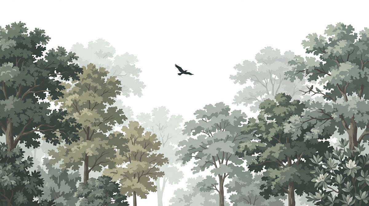 Papier peint panoramique forêt - Arbres feuillus oiseaux silhouettes fond vert sauge et blanc sur mesure - Design