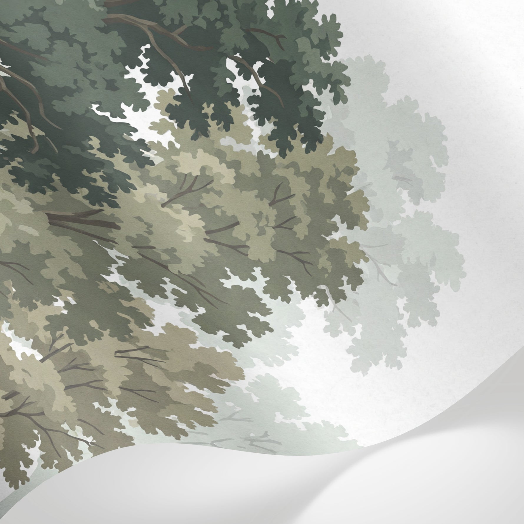 Papier peint panoramique forêt - Arbres feuillus oiseaux silhouettes fond vert sauge et blanc sur mesure - Matière