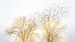 Papier peint panoramique forêt - Arbres nus volée oiseaux migrateurs tons beige doré et gris ciel sur mesure - Design