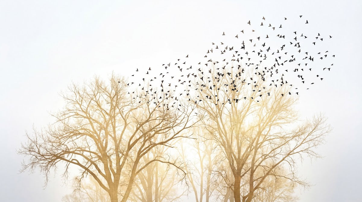 Papier peint panoramique forêt - Arbres nus volée oiseaux migrateurs tons beige doré et gris ciel sur mesure - Design
