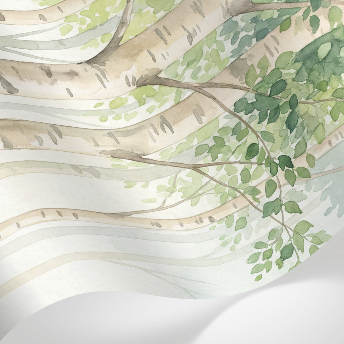 Papier peint panoramique forêt - Bouleaux troncs élancés feuillage délicat tons beige crème et vert tendre sur mesure - Matière
