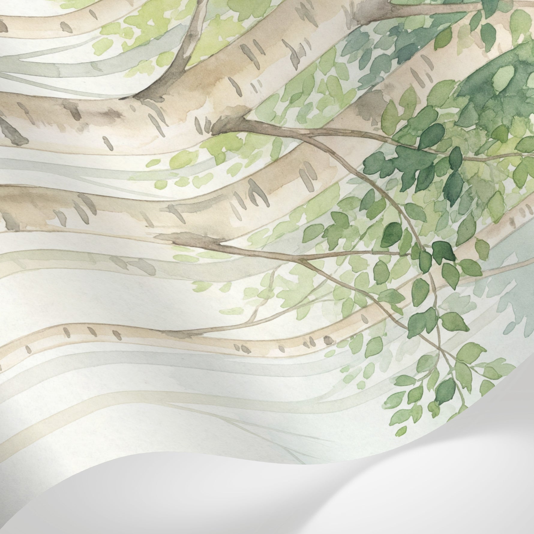 Papier peint panoramique forêt - Bouleaux troncs élancés feuillage délicat tons beige crème et vert tendre sur mesure - Matière