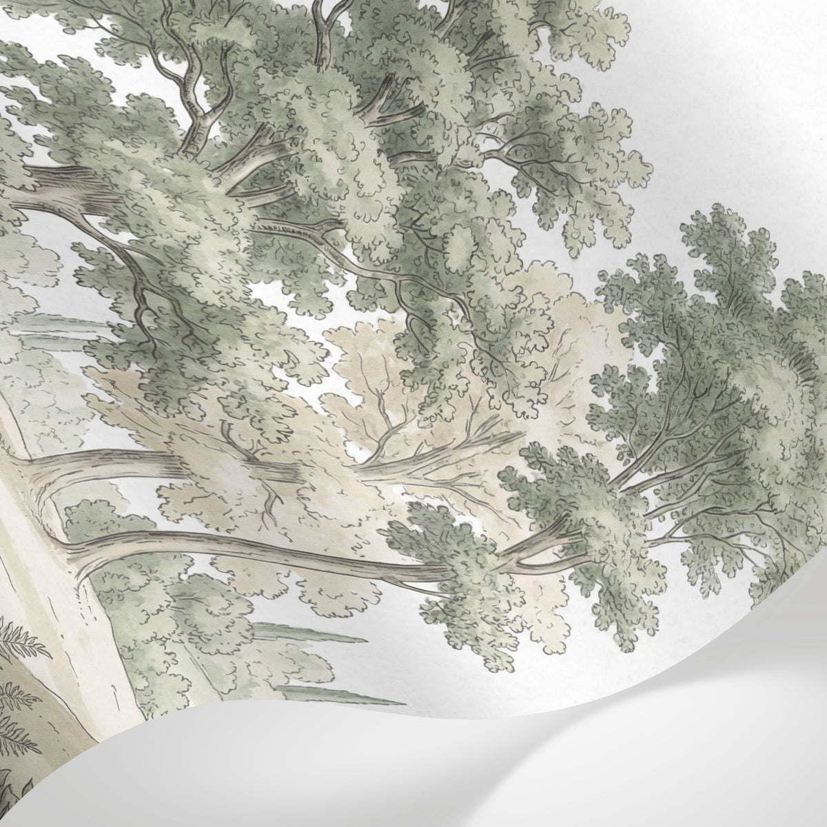 Papier peint panoramique forêt - Chênes majestueux cyprès élancés château néoclassique tons vert sauge et beige sur mesure - Matière