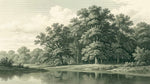Papier peint panoramique forêt - Grands chênes rivière paysage bucolique gravure fond beige sépia sur mesure - Design