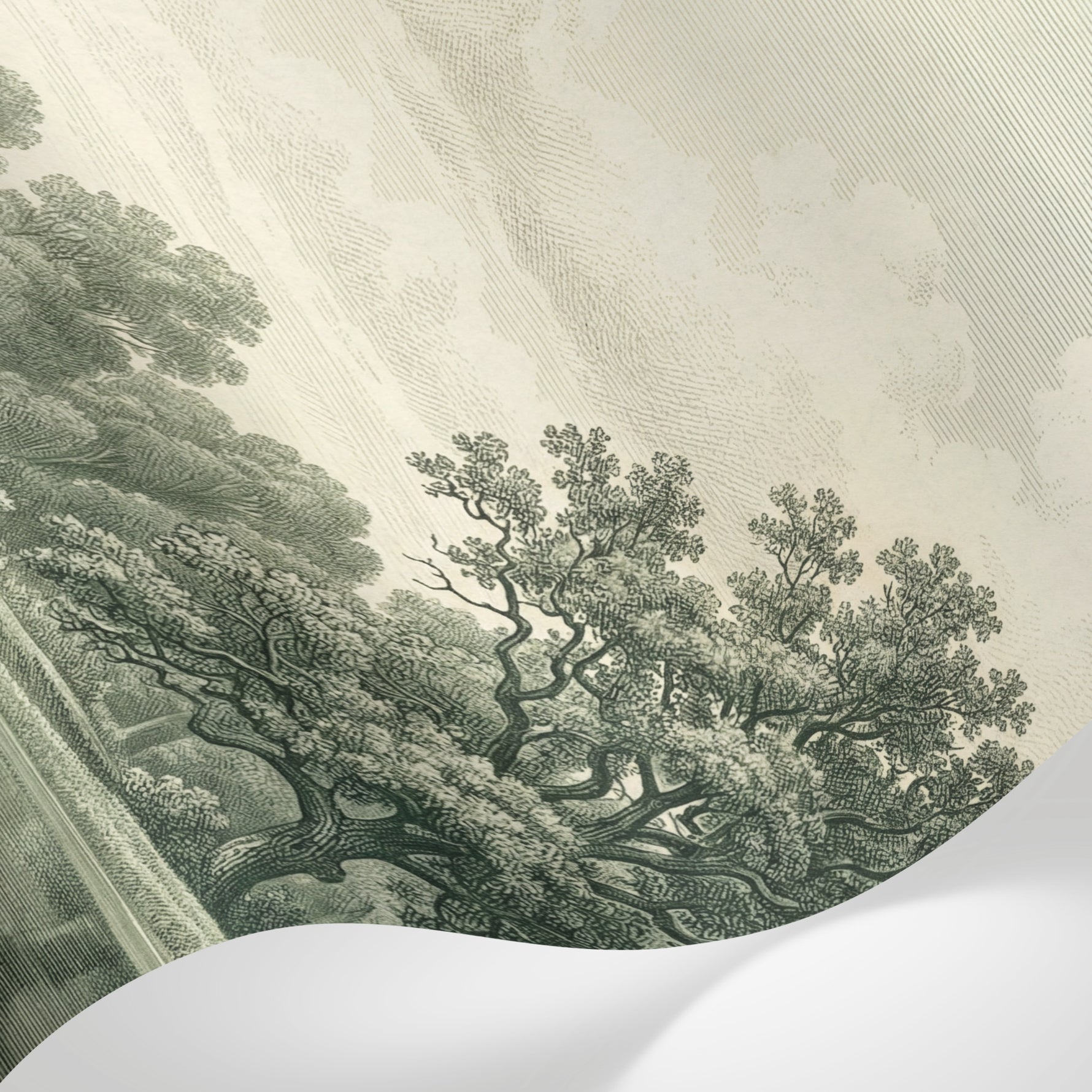 Papier peint panoramique forêt - Grands chênes rivière paysage bucolique gravure fond beige sépia sur mesure - Matière