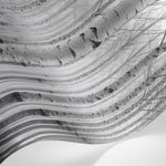 Papier peint panoramique forêt - Bouleaux alignés reflets eau brume matinale tons gris sur mesure - Matière