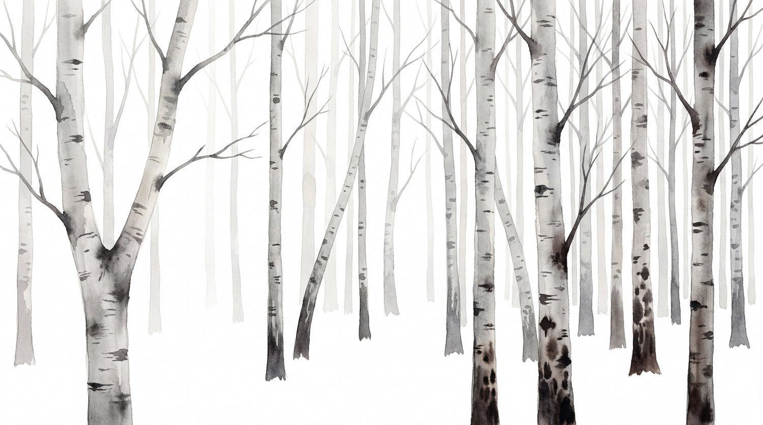 Papier peint panoramique forêt - Bouleaux troncs élancés branches dénudées atmosphère hivernale sur mesure - Design