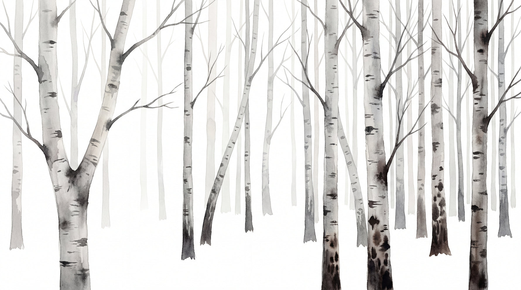 Papier peint panoramique forêt - Bouleaux troncs élancés branches dénudées atmosphère hivernale sur mesure - Design