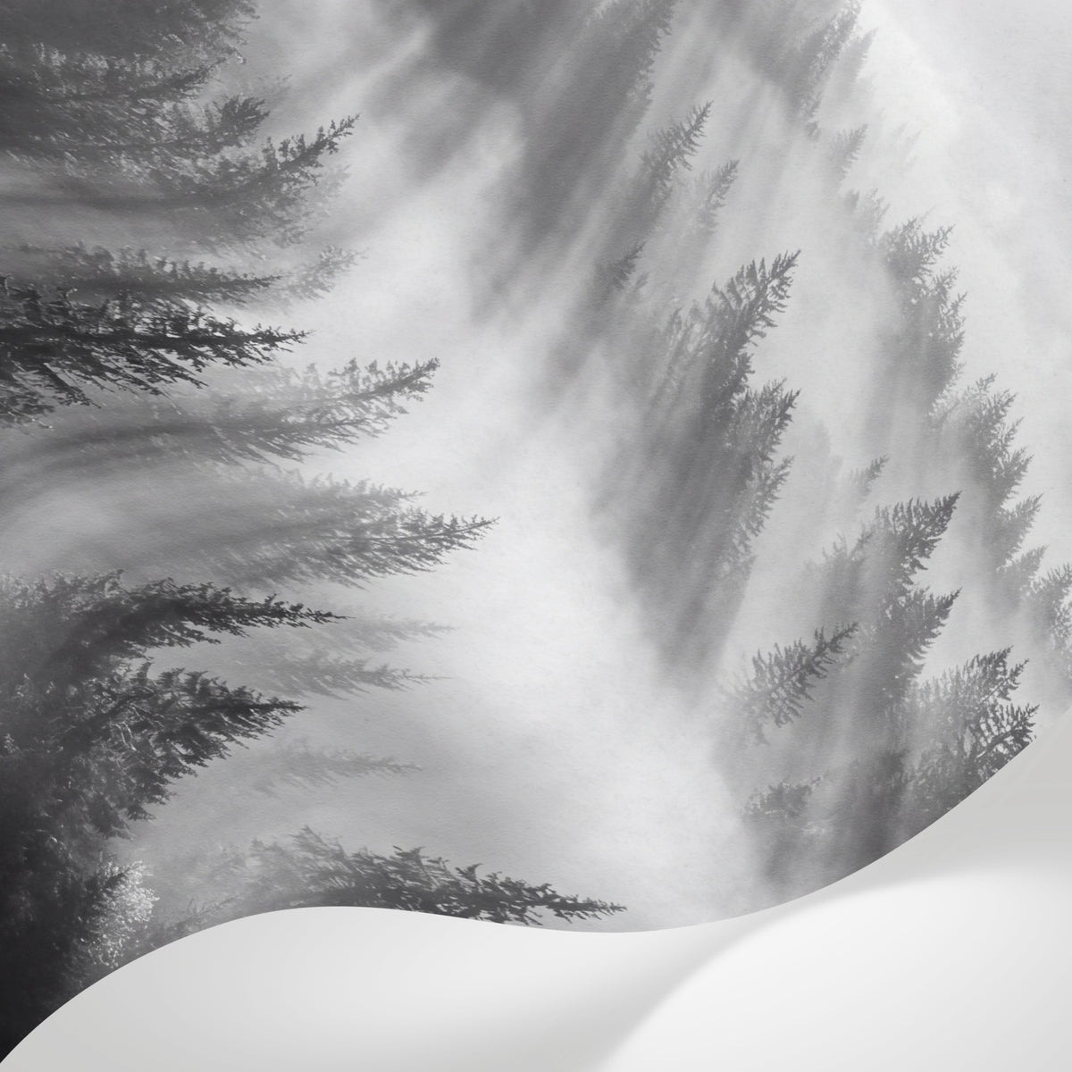 Papier peint panoramique forêt - Rayons soleil brume matinale sapins vallée tons gris et blanc sur mesure - Matière