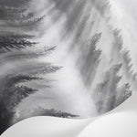 Papier peint panoramique forêt - Rayons soleil brume matinale sapins vallée tons gris et blanc sur mesure - Matière