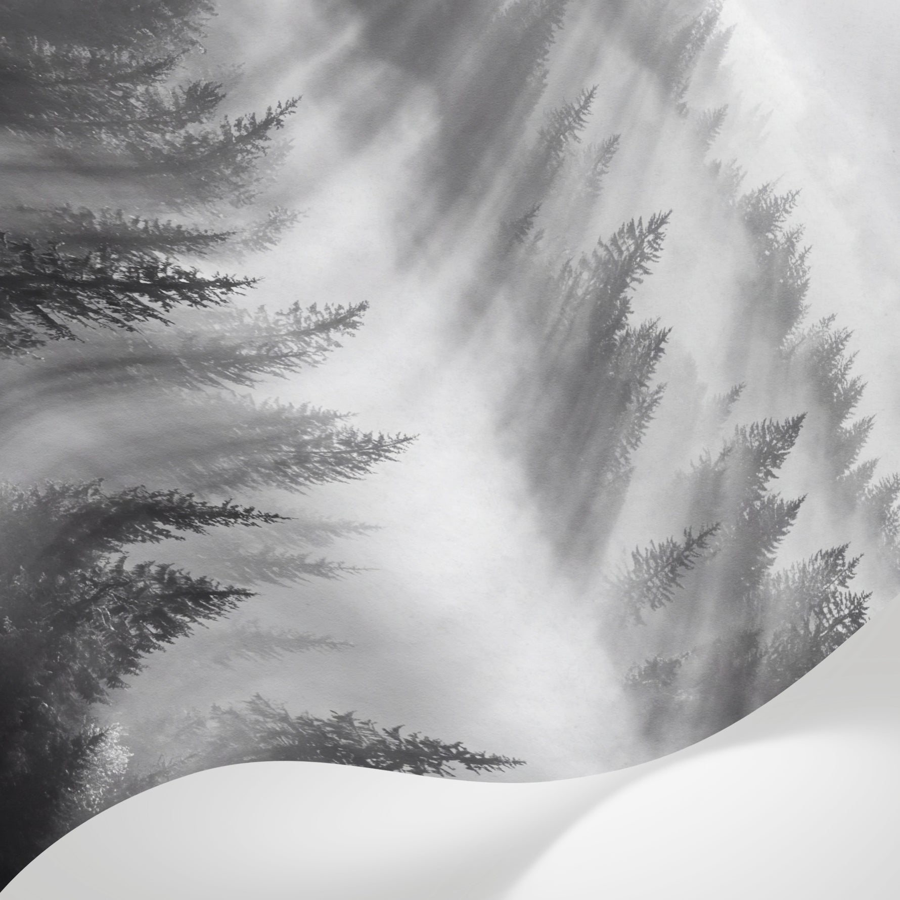 Papier peint panoramique forêt - Rayons soleil brume matinale sapins vallée tons gris et blanc sur mesure - Matière