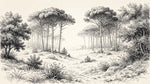 Papier peint panoramique forêt - Pins clairière chemin forestier gravure botanique noir et blanc sur beige sur mesure - Design