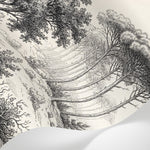 Papier peint panoramique forêt - Pins clairière chemin forestier gravure botanique noir et blanc sur beige sur mesure - Matière