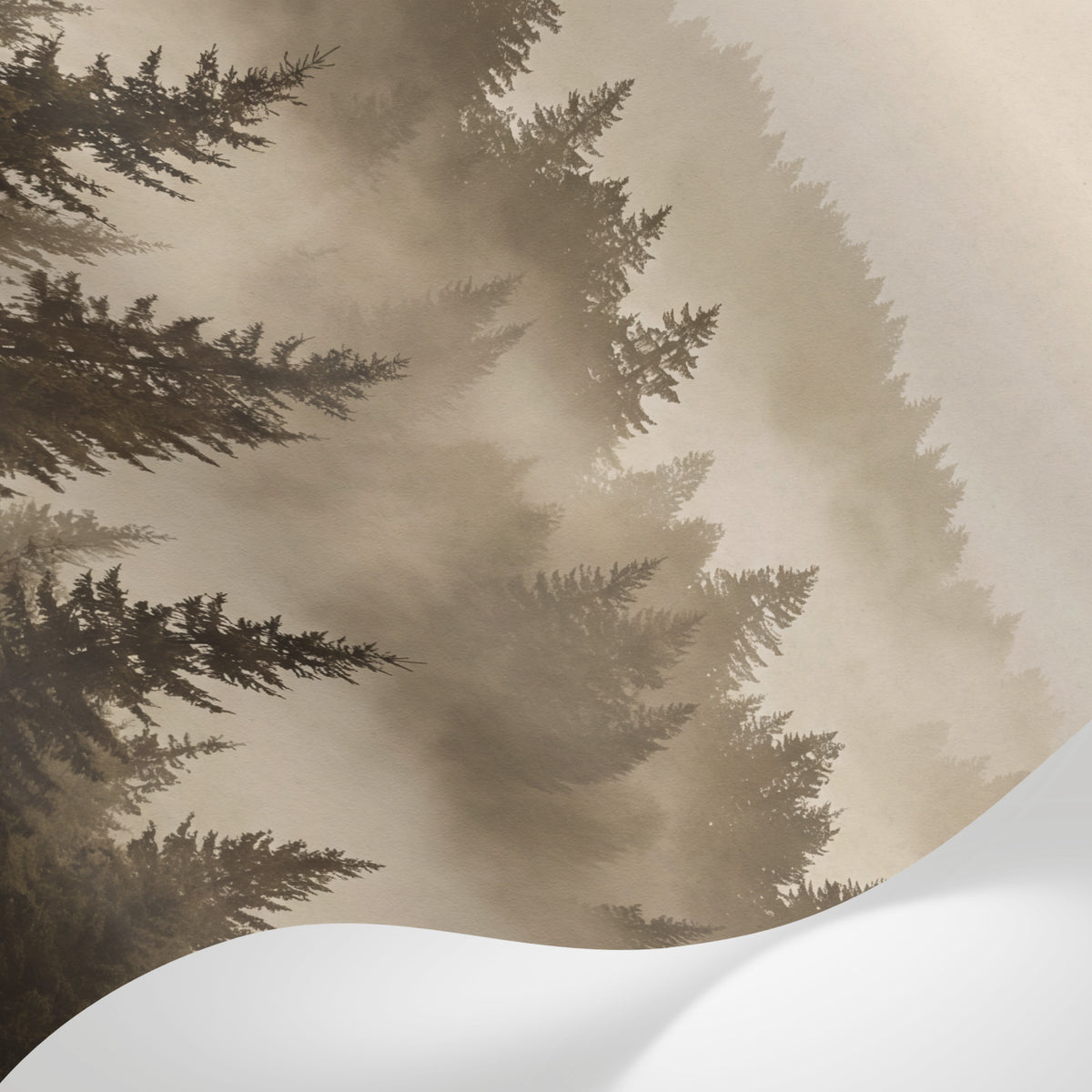 Papier peint panoramique forêt - Sapins brume matinale vallées montagneuses tons beige rosé et gris sur mesure - Matière