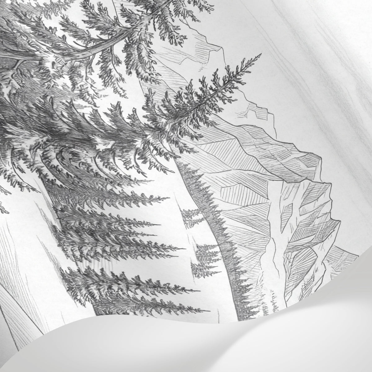 Papier peint panoramique forêt - Sapins épicéas montagne enneigée dessin gravure tons blanc et gris sur mesure - Matière