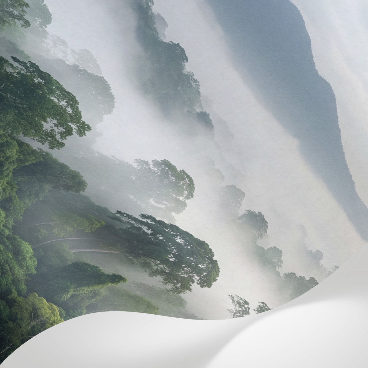 Papier peint panoramique forêt tropicale - Canopée dense brume matinale montagnes fond vert sauge et blanc sur mesure - Matière