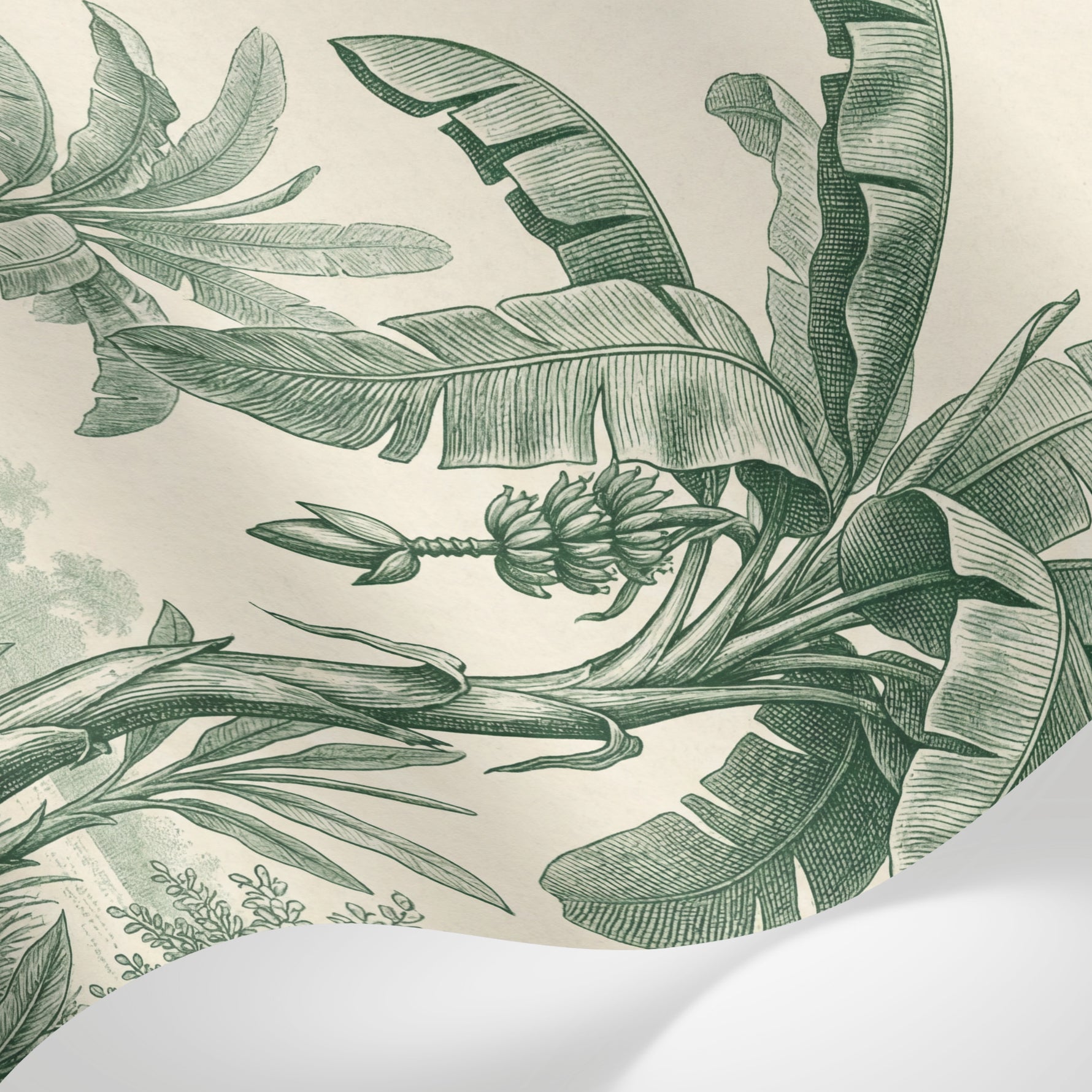 Papier peint panoramique jungle - Bananiers palmiers feuillage tropical détaillé fond beige crème et vert sauge sur mesure - Matière