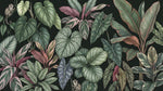 Papier peint panoramique jungle - Feuillage tropical singes philodendron calathea fond noir profond sur mesure - Design